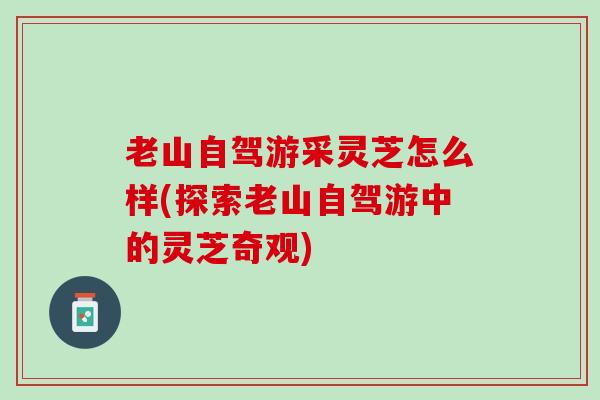老山自驾游采灵芝怎么样(探索老山自驾游中的灵芝奇观)