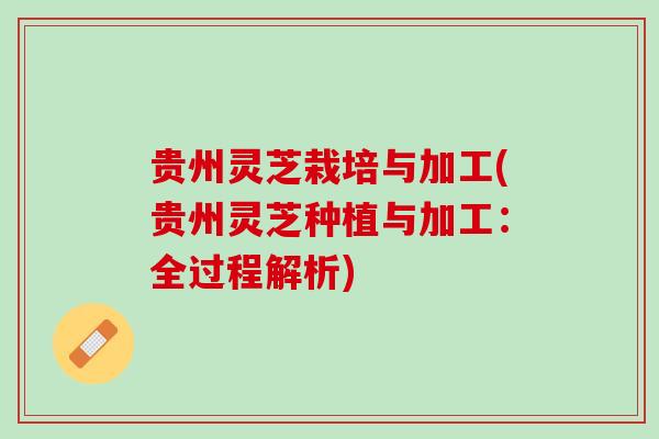 贵州灵芝栽培与加工(贵州灵芝种植与加工：全过程解析)