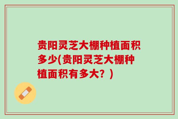 贵阳灵芝大棚种植面积多少(贵阳灵芝大棚种植面积有多大？)