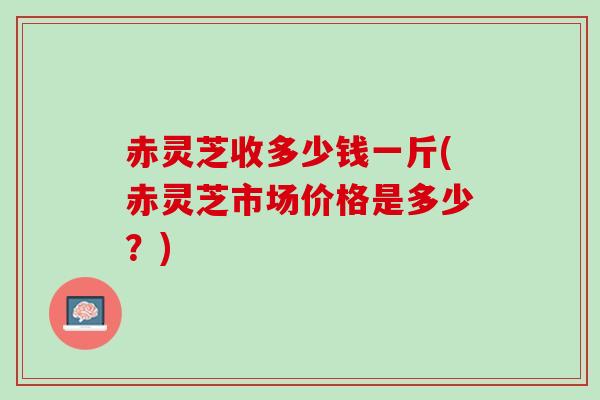 赤灵芝收多少钱一斤(赤灵芝市场价格是多少？)