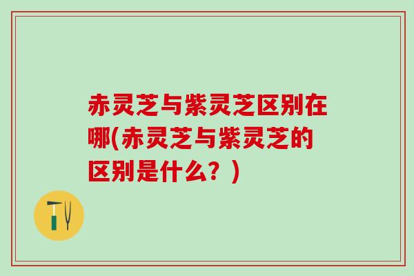 赤灵芝与紫灵芝区别在哪(赤灵芝与紫灵芝的区别是什么？)