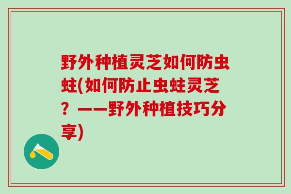 野外种植灵芝如何防虫蛀(如何防止虫蛀灵芝?——野外种植技巧分享) 野外种植灵芝如何防虫蛀(如何防止虫蛀灵芝?——野外种植技巧分享)