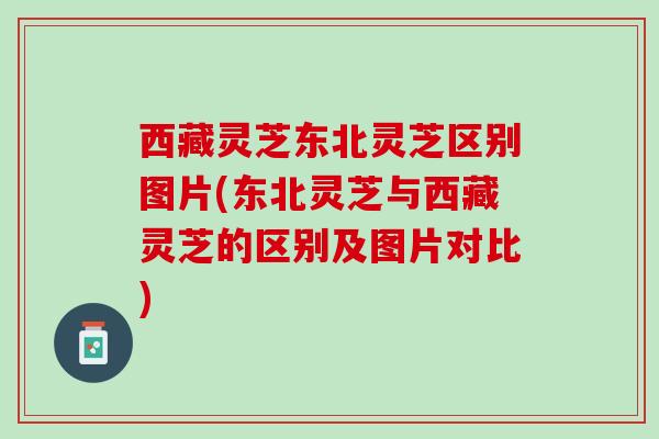 西藏灵芝东北灵芝区别图片(东北灵芝与西藏灵芝的区别及图片对比) 西藏灵芝东北灵芝区别图片(东北灵芝与西藏灵芝的区别及图片对比)