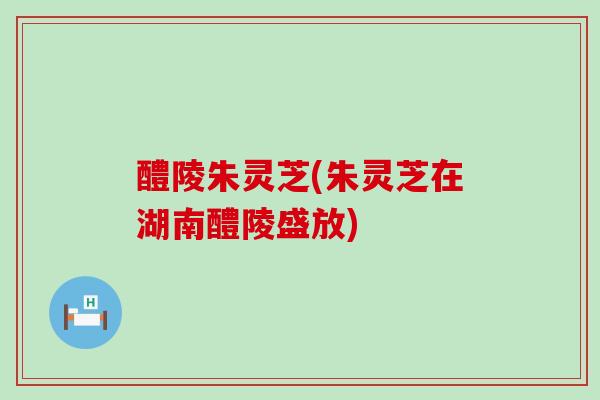 醴陵朱灵芝(朱灵芝在湖南醴陵盛放) 醴陵朱灵芝(朱灵芝在湖南醴陵盛放)