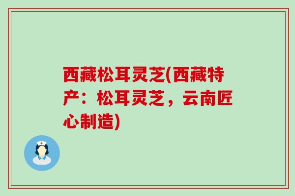 西藏松耳灵芝(西藏特产：松耳灵芝，云南匠心制造)