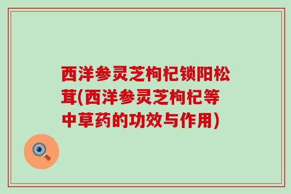 西洋参灵芝枸杞锁阳松茸(西洋参灵芝枸杞等中草药的功效与作用)