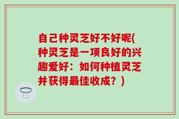 自己种灵芝好不好呢(种灵芝是一项良好的兴趣爱好：如何种植灵芝并获得佳收成？)