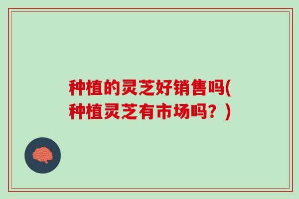 种植的灵芝好销售吗(种植灵芝有市场吗？)