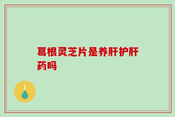 葛根灵芝片是养肝护肝药吗