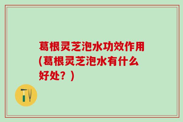 葛根灵芝泡水功效作用(葛根灵芝泡水有什么好处？)
