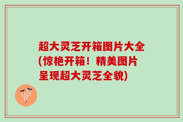 超大灵芝开箱图片大全(惊艳开箱!精美图片呈现超大灵芝全貌) 超大灵芝开箱图片大全(惊艳开箱!精美图片呈现超大灵芝全貌)