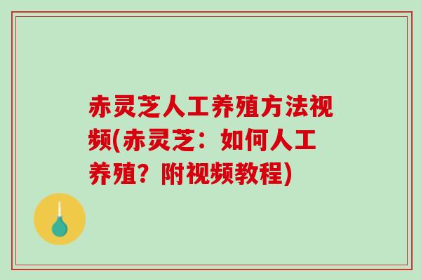 赤灵芝人工养殖方法视频(赤灵芝:如何人工养殖?附视频教程) 赤灵芝人工养殖方法视频(赤灵芝:如何人工养殖?附视频教程)