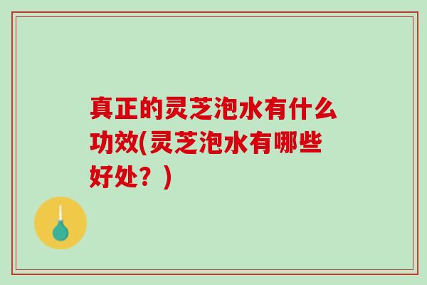 真正的灵芝泡水有什么功效(灵芝泡水有哪些好处？)