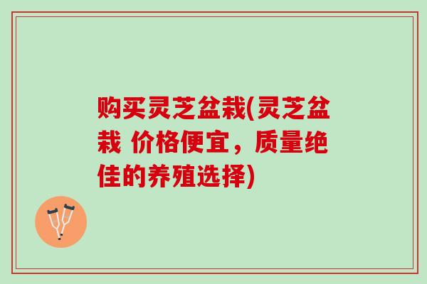 购买灵芝盆栽(灵芝盆栽 价格便宜,质量绝佳的养殖选择) 购买灵芝盆栽(灵芝盆栽 价格便宜,质量绝佳的养殖选择)