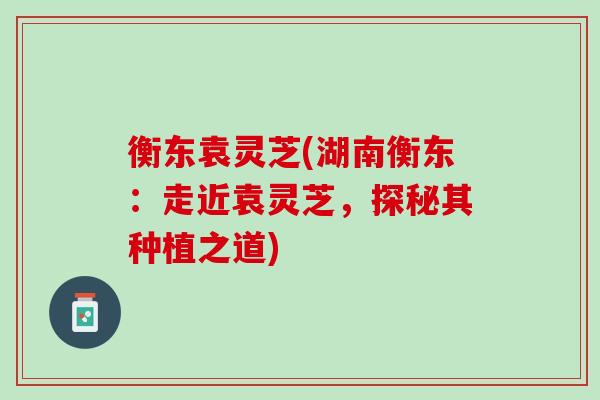 衡东袁灵芝(湖南衡东：走近袁灵芝，探秘其种植之道)