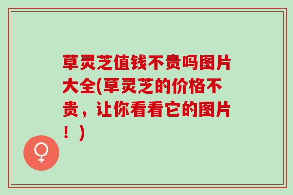 草灵芝值钱不贵吗图片大全(草灵芝的价格不贵,让你看看它的图片!) 草灵芝值钱不贵吗图片大全(草灵芝的价格不贵,让你看看它的图片!)