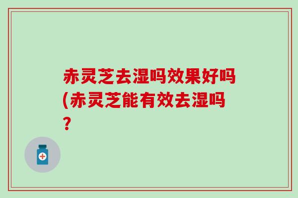 赤灵芝去湿吗效果好吗(赤灵芝能有效去湿吗? 赤灵芝去湿吗效果好吗(赤灵芝能有效去湿吗?