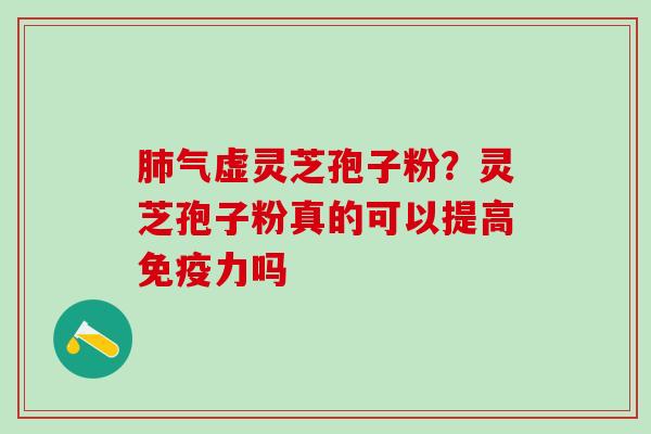 气虚灵芝孢子粉？灵芝孢子粉真的可以提高吗