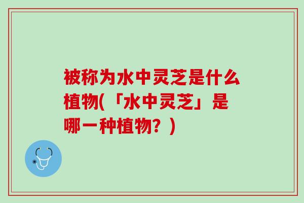 被称为水中灵芝是什么植物(「水中灵芝」是哪一种植物？)