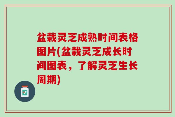 盆栽灵芝成熟时间表格图片(盆栽灵芝成长时间图表，了解灵芝生长周期)