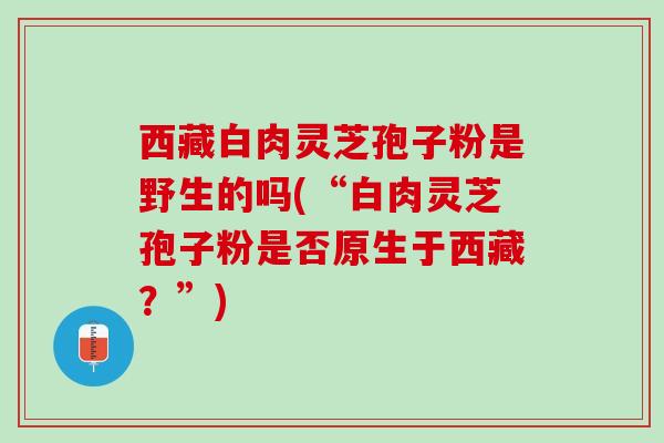 西藏白肉灵芝孢子粉是野生的吗(“白肉灵芝孢子粉是否原生于西藏?”) 西藏白肉灵芝孢子粉是野生的吗(“白肉灵芝孢子粉是否原生于西藏?”)