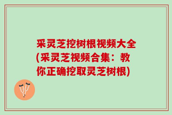 采灵芝挖树根视频大全(采灵芝视频合集:教你正确挖取灵芝树根) 采灵芝挖树根视频大全(采灵芝视频合集:教你正确挖取灵芝树根)