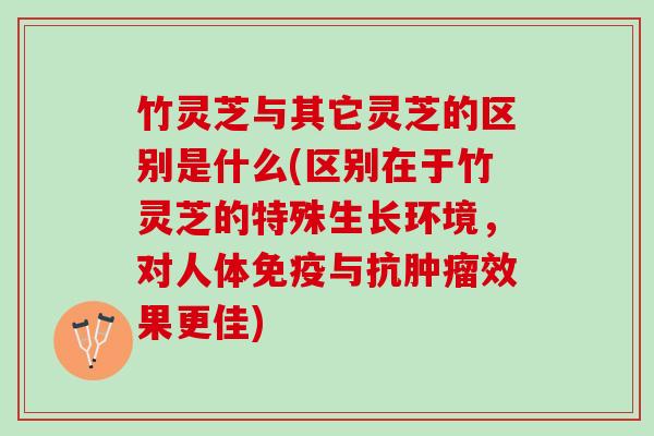 竹灵芝与其它灵芝的区别是什么(区别在于竹灵芝的特殊生长环境,对人体免疫与抗效果更佳) 竹灵芝与其它灵芝的区别是什么(区别在于竹灵芝的特殊生长环境,对人体免疫与抗效果更佳)
