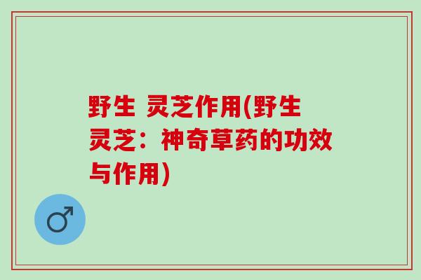 野生 灵芝作用(野生灵芝:神奇草药的功效与作用) 野生 灵芝作用(野生灵芝:神奇草药的功效与作用)