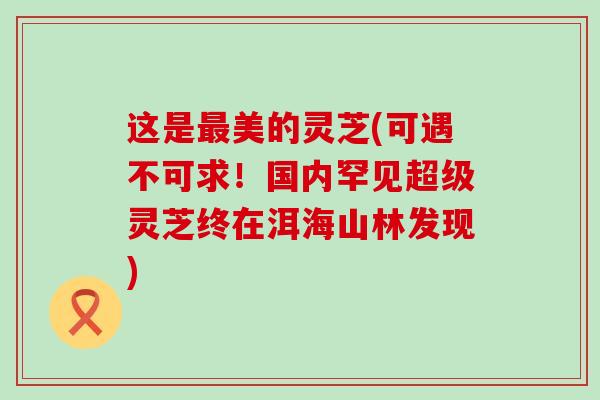 这是美的灵芝(可遇不可求！国内罕见超级灵芝终在洱海山林发现)