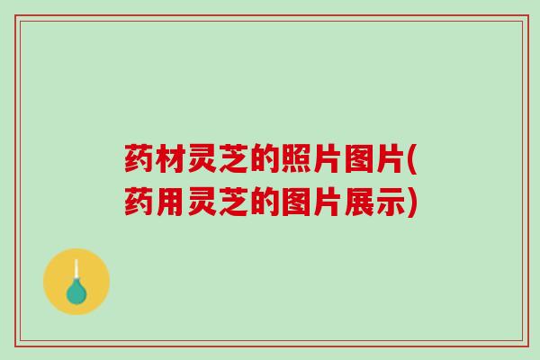 药材灵芝的照片图片(药用灵芝的图片展示) 药材灵芝的照片图片(药用灵芝的图片展示)