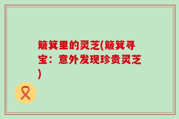 簸箕里的灵芝(簸箕寻宝:意外发现珍贵灵芝) 簸箕里的灵芝(簸箕寻宝:意外发现珍贵灵芝)