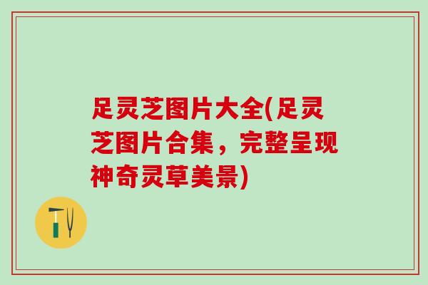 足灵芝图片大全(足灵芝图片合集,完整呈现神奇灵草美景) 足灵芝图片大全(足灵芝图片合集,完整呈现神奇灵草美景)