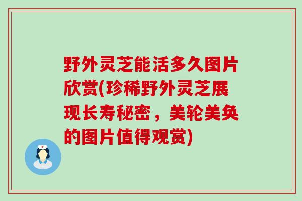 野外灵芝能活多久图片欣赏(珍稀野外灵芝展现长寿秘密，美轮美奂的图片值得观赏)