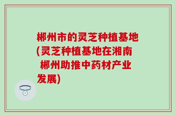 郴州市的灵芝种植基地(灵芝种植基地在湘南 郴州助推材产业发展) 郴州市的灵芝种植基地(灵芝种植基地在湘南 郴州助推材产业发展)