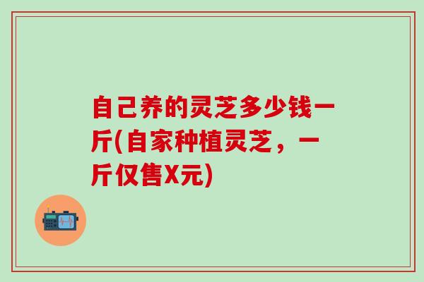 自己养的灵芝多少钱一斤(自家种植灵芝，一斤仅售X元)