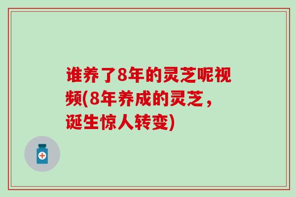 谁养了8年的灵芝呢视频(8年养成的灵芝,诞生惊人转变) 谁养了8年的灵芝呢视频(8年养成的灵芝,诞生惊人转变)