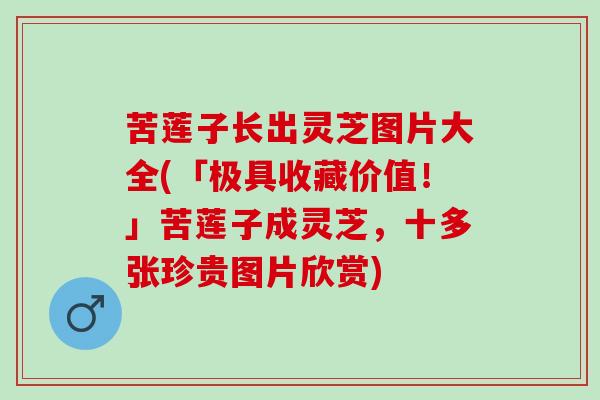 苦莲子长出灵芝图片大全(「极具收藏价值!」苦莲子成灵芝,十多张珍贵图片欣赏) 苦莲子长出灵芝图片大全(「极具收藏价值!」苦莲子成灵芝,十多张珍贵图片欣赏)
