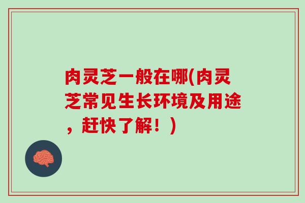 肉灵芝一般在哪(肉灵芝常见生长环境及用途,赶快了解!) 肉灵芝一般在哪(肉灵芝常见生长环境及用途,赶快了解!)