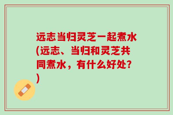 远志当归灵芝一起煮水(远志、当归和灵芝共同煮水,有什么好处?) 远志当归灵芝一起煮水(远志、当归和灵芝共同煮水,有什么好处?)