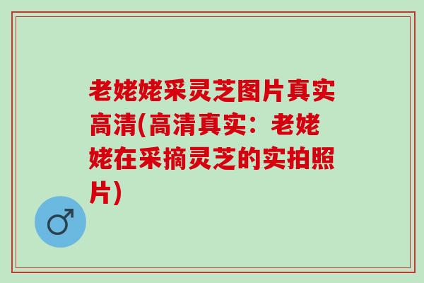 老姥姥采灵芝图片真实高清(高清真实:老姥姥在采摘灵芝的实拍照片) 老姥姥采灵芝图片真实高清(高清真实:老姥姥在采摘灵芝的实拍照片)