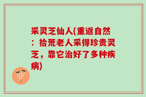 采灵芝仙人(重返自然:拾荒老人采得珍贵灵芝,靠它好了多种) 采灵芝仙人(重返自然:拾荒老人采得珍贵灵芝,靠它好了多种)