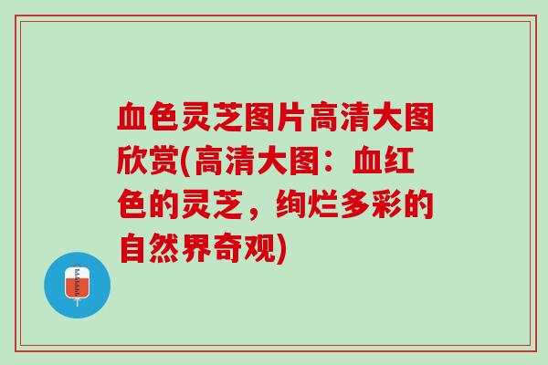 色灵芝图片高清大图欣赏(高清大图:红色的灵芝,绚烂多彩的自然界奇观) 色灵芝图片高清大图欣赏(高清大图:红色的灵芝,绚烂多彩的自然界奇观)