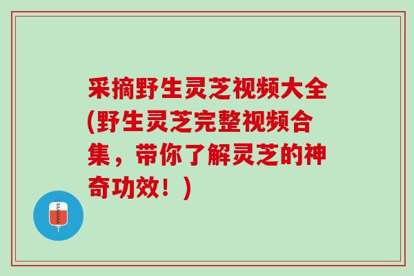 采摘野生灵芝视频大全(野生灵芝完整视频合集,带你了解灵芝的神奇功效!) 采摘野生灵芝视频大全(野生灵芝完整视频合集,带你了解灵芝的神奇功效!)