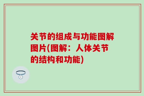 关节的组成与功能图解图片(图解：人体关节的结构和功能)