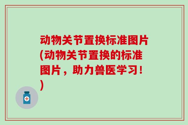 动物关节置换标准图片(动物关节置换的标准图片，助力兽医学习！)