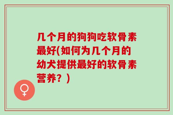 几个月的狗狗吃软骨素最好(如何为几个月的幼犬提供最好的软骨素营养？)