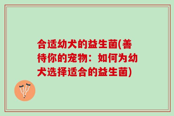 合适幼犬的益生菌(善待你的宠物：如何为幼犬选择适合的益生菌)