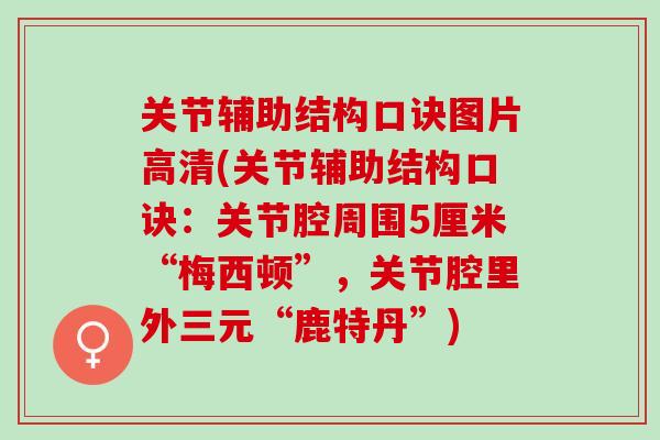 关节辅助结构口诀图片高清(关节辅助结构口诀：关节腔周围5厘米“梅西顿”，关节腔里外三元“鹿特丹”)