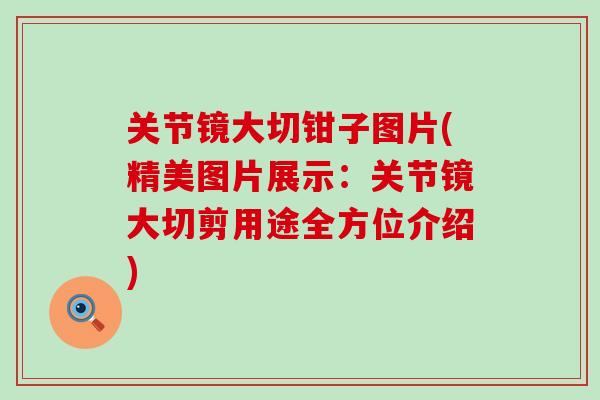 关节镜大切钳子图片(精美图片展示：关节镜大切剪用途全方位介绍)