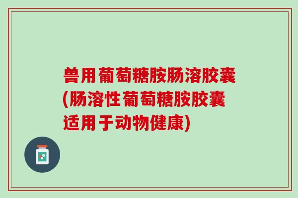 兽用葡萄糖胺肠溶胶囊(肠溶性葡萄糖胺胶囊适用于动物健康)